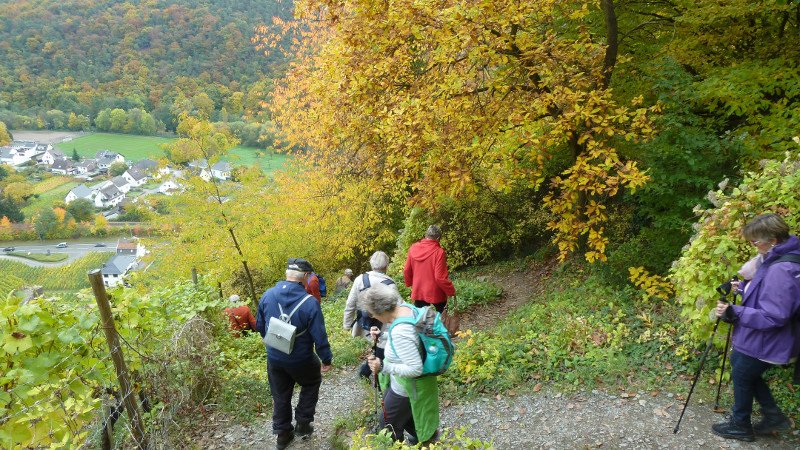 Rotweinwanderung 24.10.2015